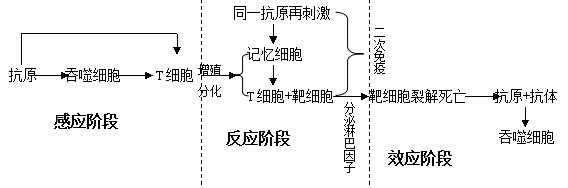 9f2f070828381f305ac1dca7aa014c086f06f0e0 - 副本.jpg